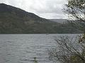 Aviemore-Fort William (97)